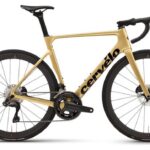 Vélo de Route Cervélo Soloist Shimano Ultegra Di2 12V 700 mm Or Gold Dust 2024