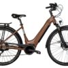 Vélo de Ville Électrique Bicyklet Victoire Shimano Alivio 9V 400 Wh 700 mm Marron